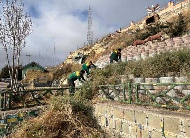 خدمتی:عملیات کاشت گل و گیاه در سطح شهر اردبیل در حال انجام است