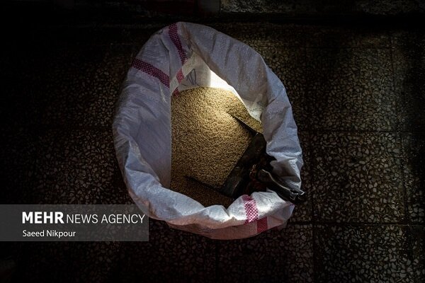 رشد دو برابری واردات برنج؛ برنج هندی در صدر برنج های خارجی