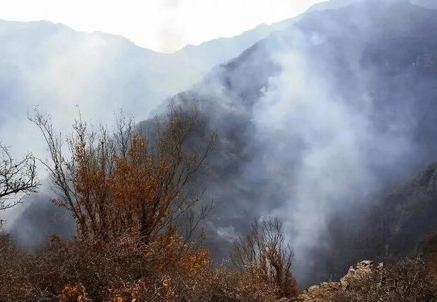 ۸ بالگرد و هواپیماهای ایلوشن مشغول اطفای حریق الیت هستند