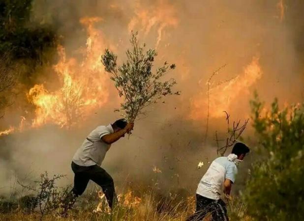 تلاش ۴۸ ساعته برای خاموش کردن آتش سوزی جنگل های کبیرکوه دره شهر