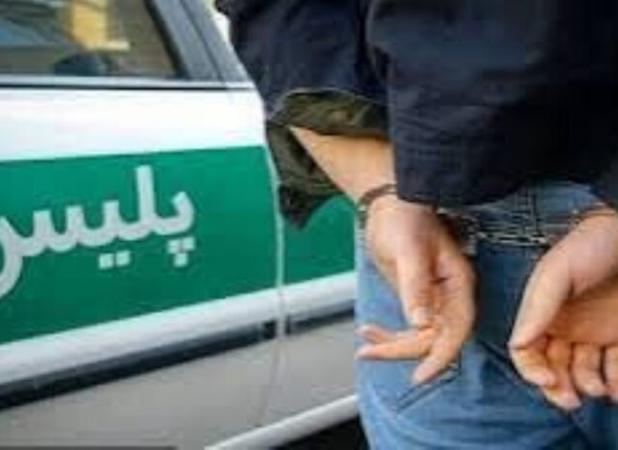 باند سرقت طلاجات زنان کهنسال در دشتستان منهدم شد