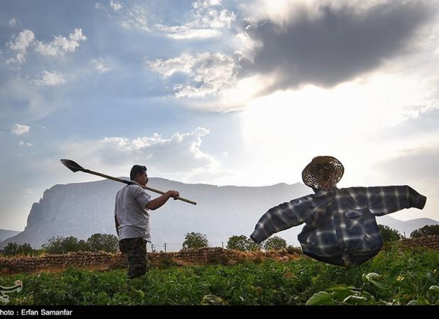 تاثیر فراتر از تصور انسان بر چرخه آب؛ کشاورزی مقصر اصلی