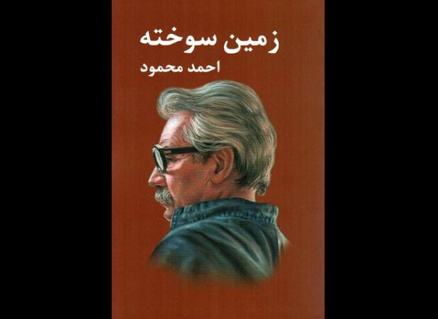 ویژگی آثار سال‌های اغاز جنگ چیست؟؛ «زمین سوخته» صدای اعتراض نویسنده