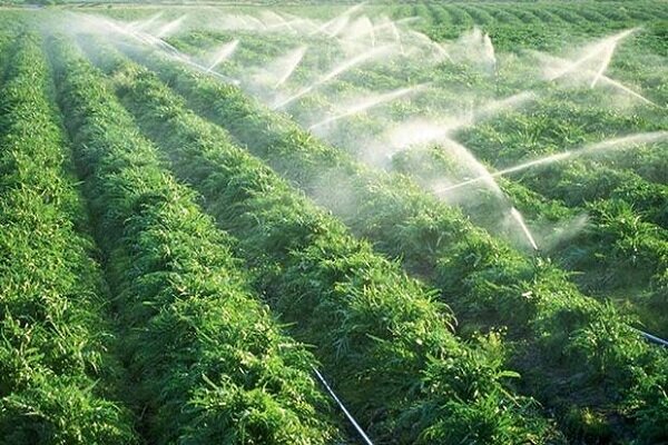 درخواست ۳۸۰ میلیارد ریال اعتبار برای اجرای آبیاری نوین 
