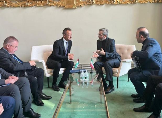 جزئیات گفتگوی علی باقری با وزرای خارجه مجارستان و کویت