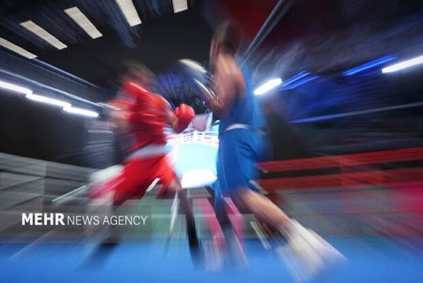 بوکسور مازندرانی در مسیر کمربند جهانی است