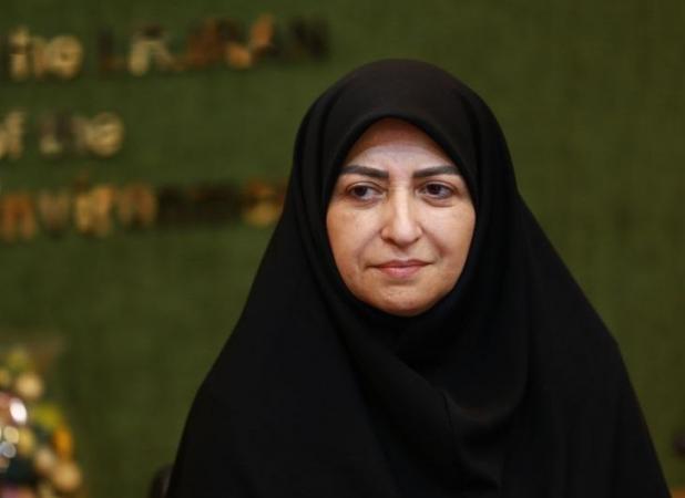 انصاری: توسعه ناپایدار ابرچالش‌ها را ایجاد کرده است