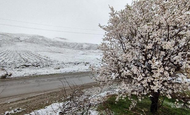 هشدار نارنجی سازمان هواشناسی برای 2 استان