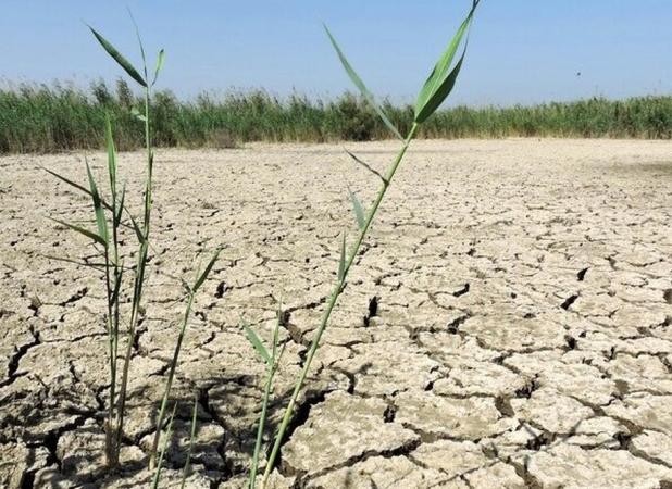 ۹ تالاب ایران بیابان شد!