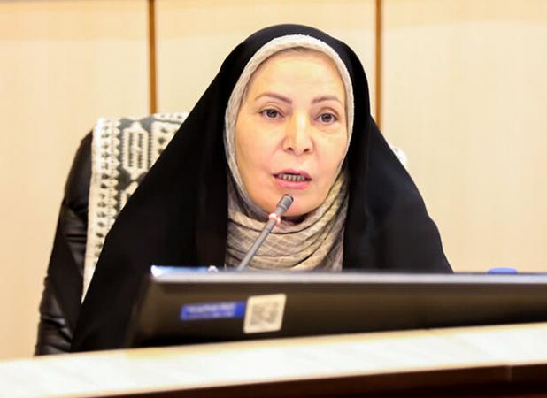 عضو شورای شهر: استفاده درست از ظرفیت بافت تاریخی یزد می‌تواند الگوی ملی باشد