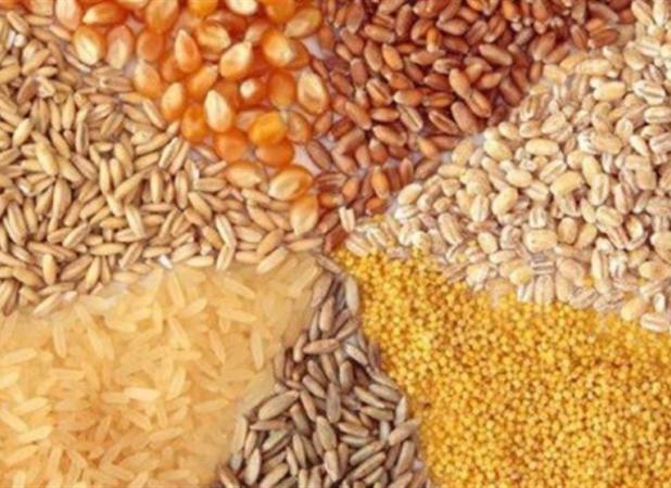 ضوابط جدید واردات نهاده‌های دامی اعلام شد