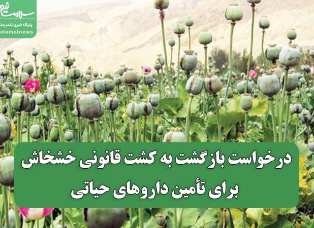 درخواست بازگشت به کشت قانونی خشخاش برای تأمین داروهای حیاتی
