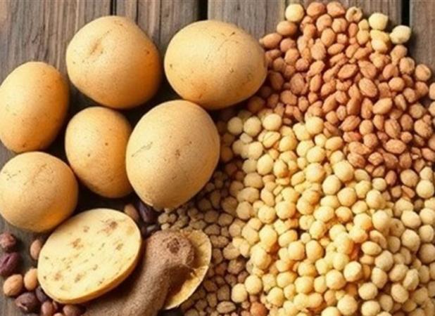 ابلاغ ممنوعیت صادرات حبوبات به گمرکات کشور