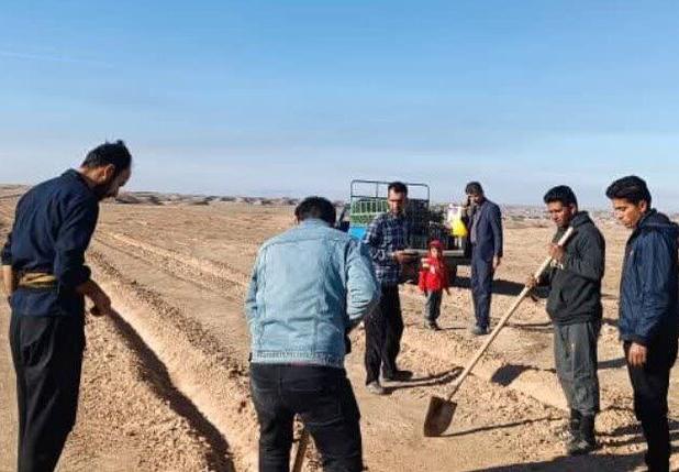 فرهادی: احیا و اصلاح مراتع در ۲ هزار هکتار از اراضی دهلران اجرا می شود