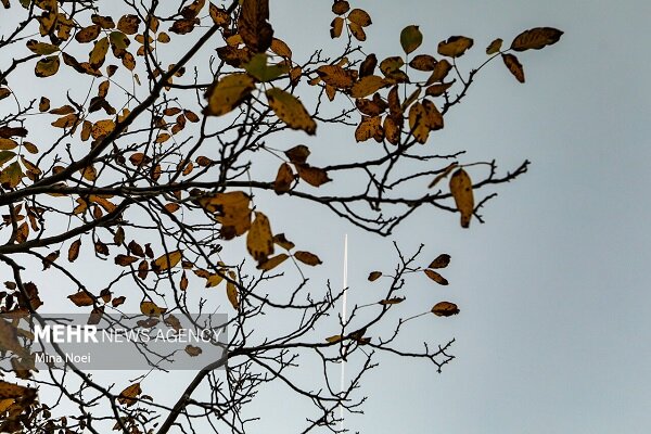 احمدی نژاد: هوای برخی مناطق استان ایلام به زیر صفر رسید