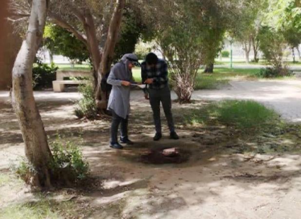 سرپرست مرکز بهداشت بوشهر: پایش مستمر پشه آئدس انجام می‌شود