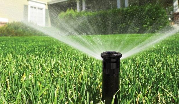 آموزش تغذیه گندم آبی؛ با تمرکز بر نوآوری و افزایش بهره‌وری در دهلران