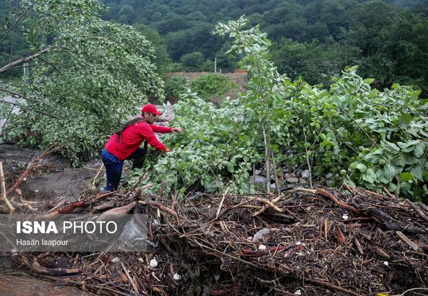 نجات ۱۰ گردشگر مفقودشده در جنگل‌های شیرمشه زنجان
