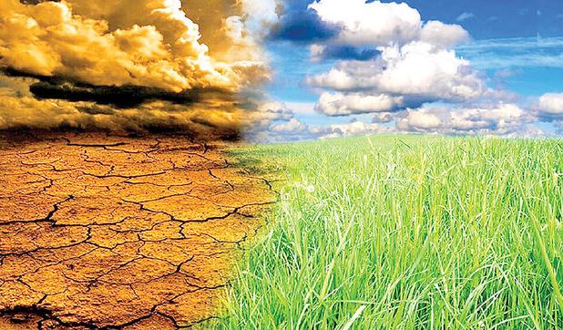 خسارت ۴۰۰۰ میلیارد ریالی خشکسالی به کشاورزان کرمانشاهی/غرامت‌ها تا آخر آذر پرداخت می‌شود