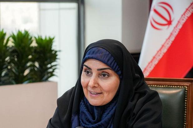 وزیر راه از یک طرح درمانی در بوشهر بازدید کرد