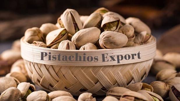 پیش‌بینی ارزآوری ۴۰۰ میلیون دلاری پسته رفسنجان برای کشور