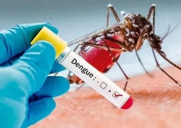 «تب دانگ» از عمده مشکلات بهداشتی مناطق گرمسیری است