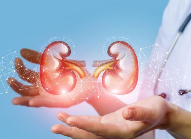 یک اورولوژیست خوب در مشهد چه ویژگی‌هایی دارد؟