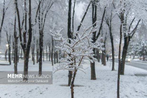 پیش‌بینی بارش‌های رگباری و برف نیمه‌سنگین در کهگیلویه و بویراحمد