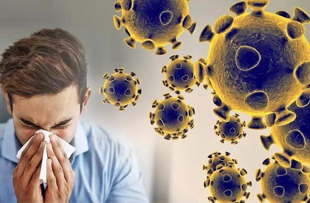 هشدار برای شب یلدا؛آنفلوانزا در اردبیل کنترل شده اما ویروس فعال است