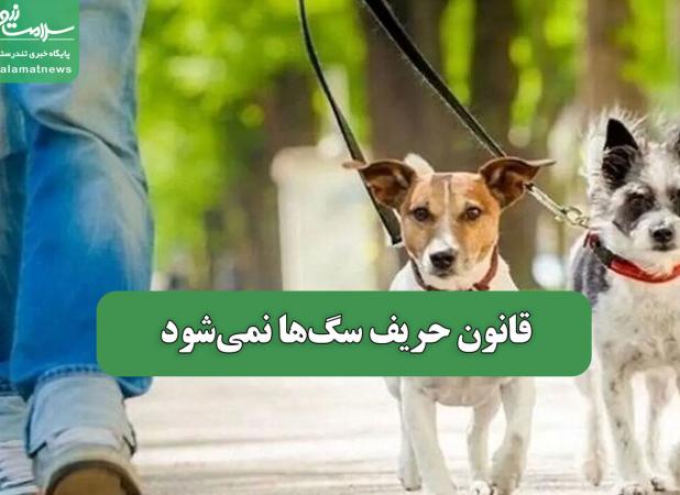 قانون حریف سگ‌ها نمی‌شود
