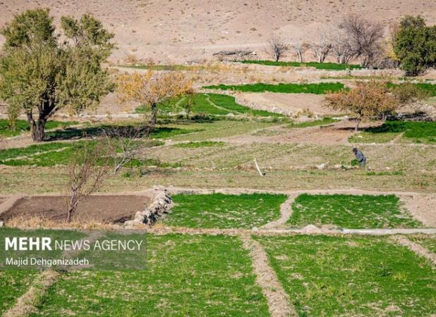 صدور اسناد کشاورزی به کجا رسید؟