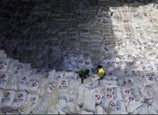 واردات 800 هزار تن برنج از ابتدای سال/ تاخیر 10 ماهه در تخصیص ارز؟