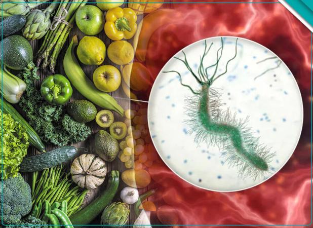 راهنمای کامل رژیم غذایی هلیکوباکتر پیلوری؛ ۱۰ ماده غذایی کلیدی برای مهار عفونت