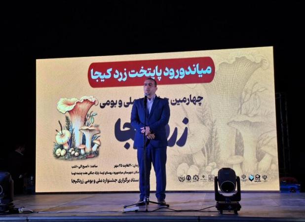 بابایی: میاندورود از رویشگاه‌های کم نظیر قارچ‌های طبیعی است