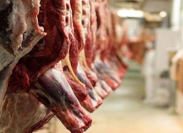 گوشت گرم از فهرست کالاهای اساسی خارج شد