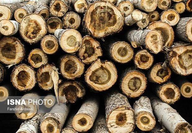 ایست پلیس به قاچاق چوب در بجنورد