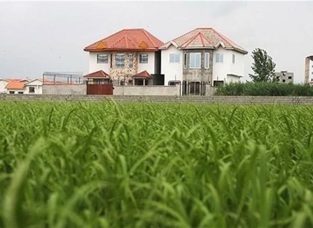 آزادسازی ساخت مسکن در اراضی کشاورزی تکذیب شد