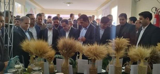 استاندار ایلام: ایده‌های پژوهشی می‌توانند مسیر توسعه استان را متحول کنند