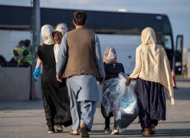 ۲۰۶ تبعه غیر مجاز از شهر سمنان جمع آوری و طرد شدند