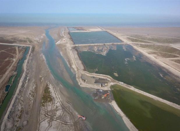 عواقب وحشتناک خشکی خلیج گرگان/ رسوب نمک در گلستان!