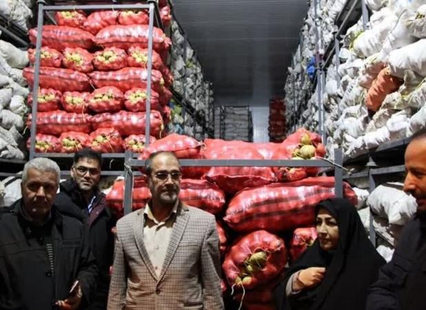 ورود سیب زمینی به تهران ۳ برابر شد