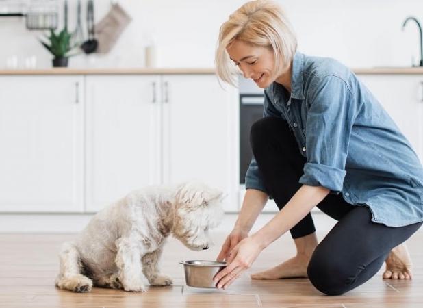 طرز تهیه سیرابی برای سگ (راهنمای پخت خانگی)