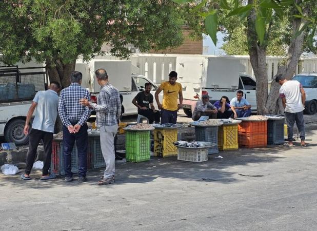 بلاتکلیفی بازار ماهی و میگوی دیر؛ دست‌فروشی غیربهداشتی زیر آفتاب سوزان
