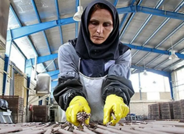 رقم جدید هزینه زندگی کارگران اعلام شد