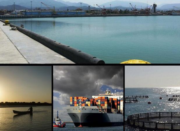 بوشهر و افق توسعه دریا محور؛ از ساحل تا فرصت‌های بی‌پایان اقتصاد آبی