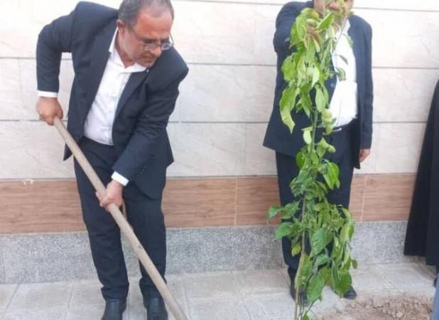 توسعه فضای سبز در مرکز استان بوشهر