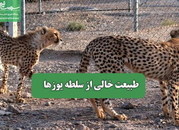 طبیعت خالی از سلطه یوزها