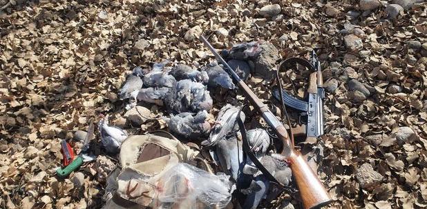 شکار غیرمجاز عاملی برای برهم خوردن تعادل اکوسیستم است