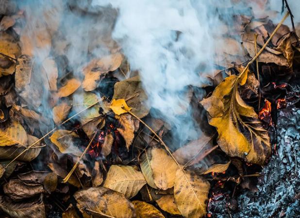 اقدامات محیط زیست شمیرانات برای مهار آلودگی هوا جدی‌تر شد