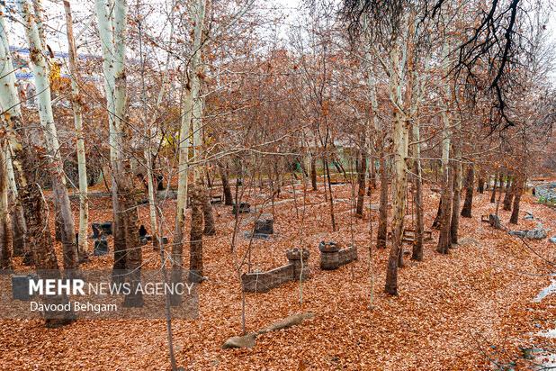 هوای مشهد پاک است